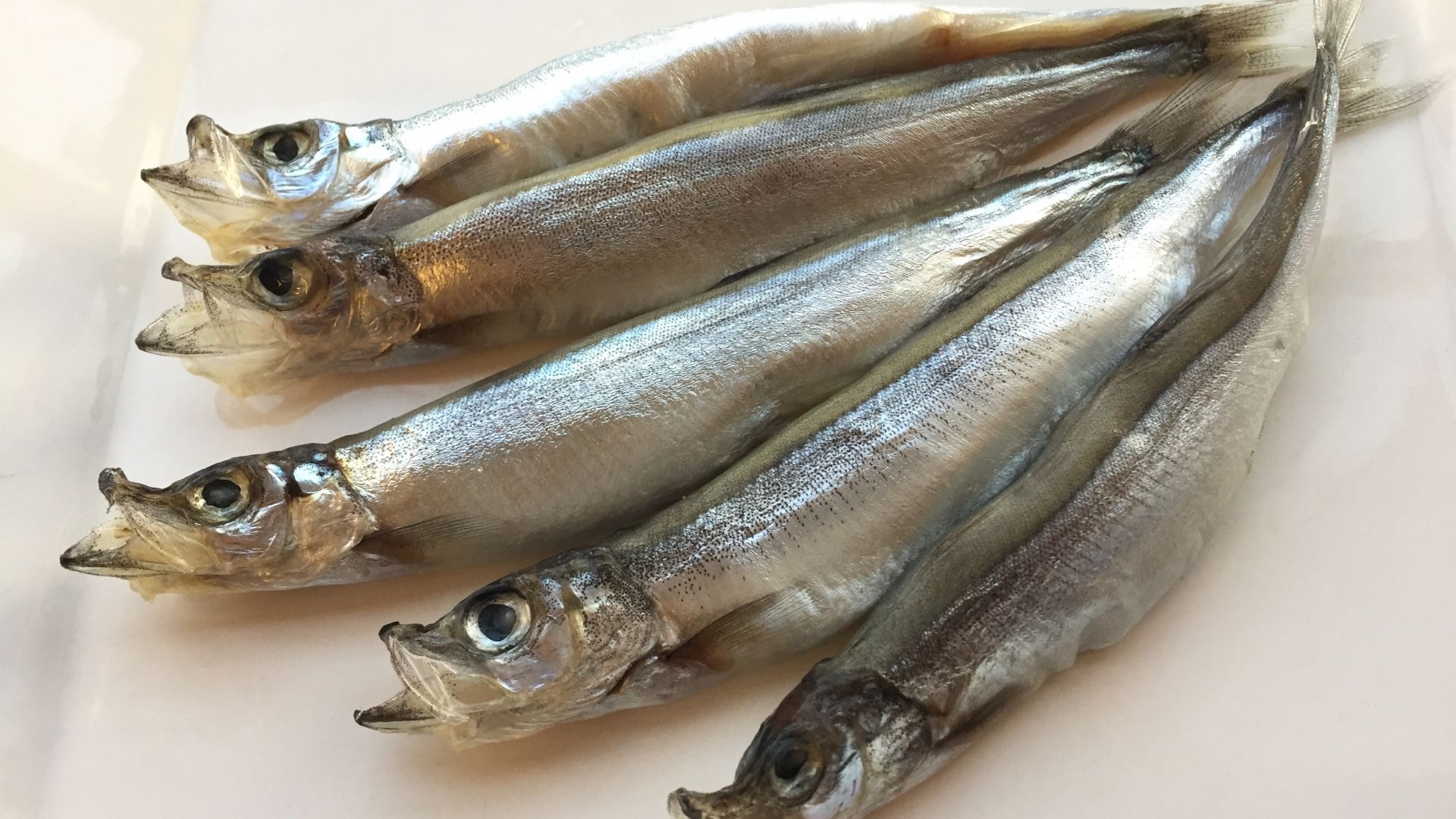 スーパーのししゃもは偽物？本物？本ししゃもと樺太ししゃも(カペリン)の違いを解説 | ハルノヒ − 私のままで、軽やかに暮らす。