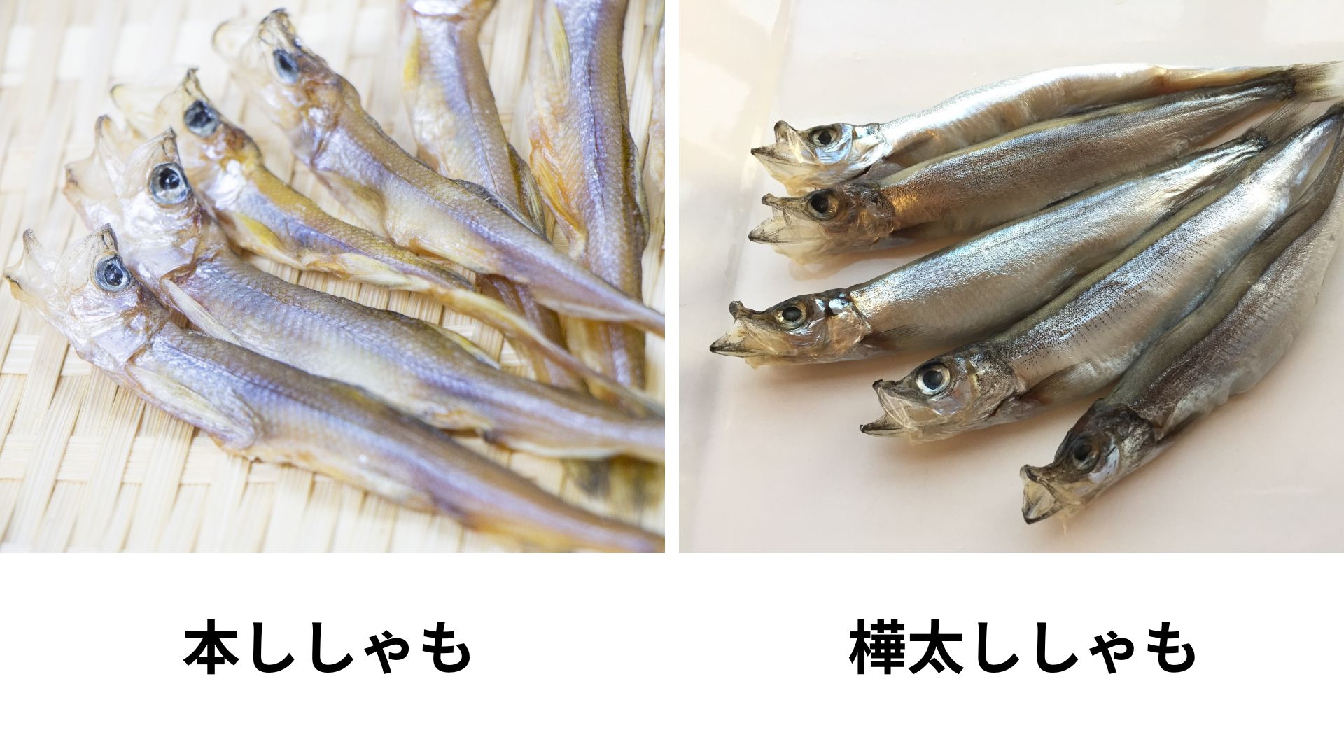 スーパーのししゃもは偽物？本物？本ししゃもと樺太ししゃも(カペリン)の違いを解説 | ハルノヒ − 私のままで、軽やかに暮らす。