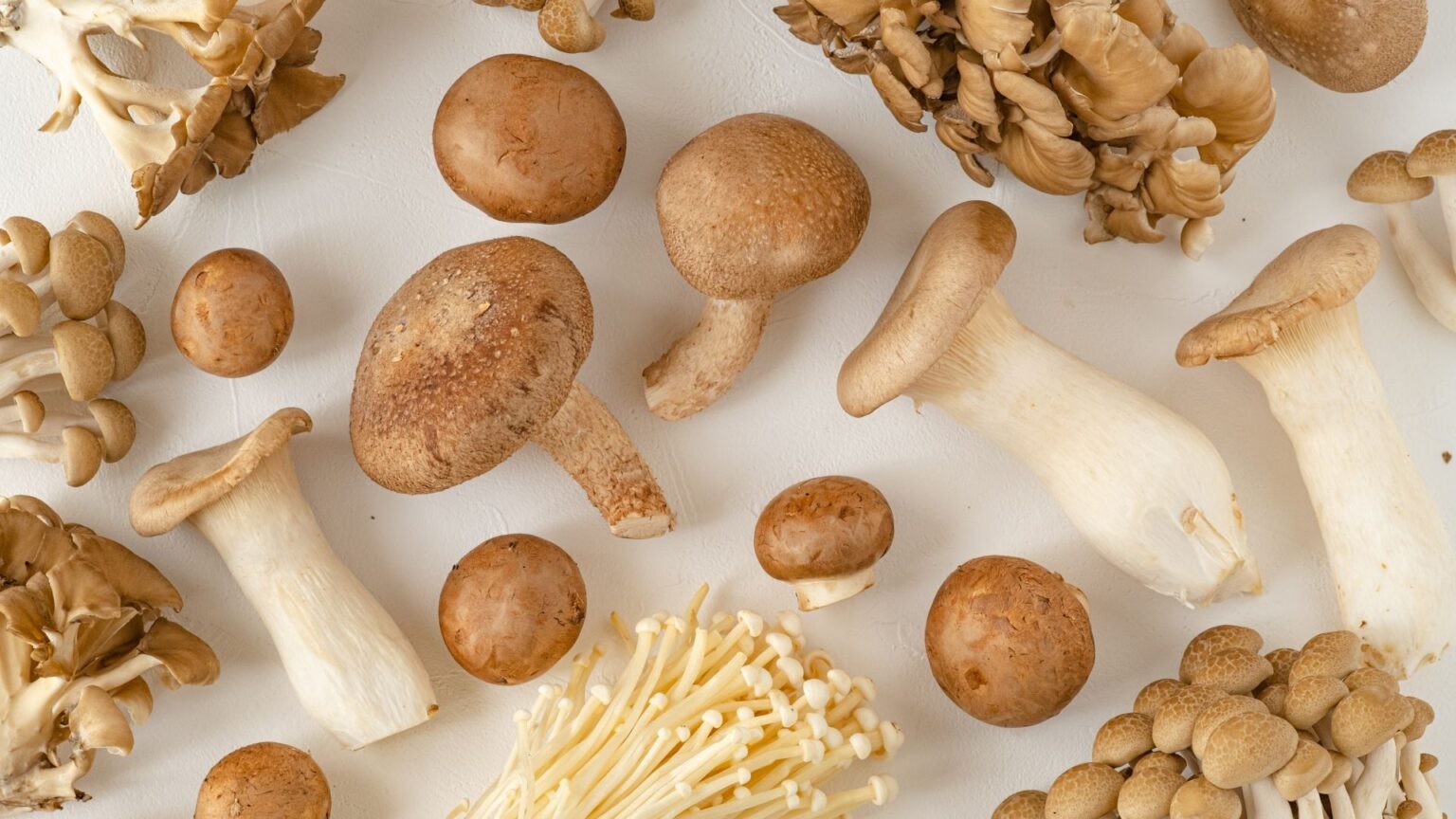 食用きのこの種類一覧!味や特徴を解説 | ハルノヒ − 私のままで、軽やかに暮らす。