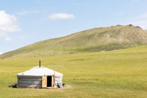 white and brown house on green grass field during daytime