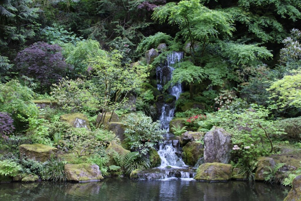 a small waterfall in the middle of a lush green forest